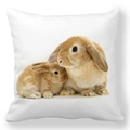 Easter peach skin throw pillow cover featuring two realistic brown rabbits on white - 18x18 Inch / Adult and Young Bunny (37)