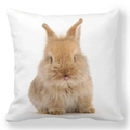 Easter peach skin pillowcase with cute brown rabbit print on white background - 18x18 Inch / Playful Tongue-out Bunny (34)