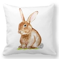 Square peach skin pillowcase with brown watercolor rabbit and green grass design - 18x18 Inch / Watercolor Grassland Bunny (22)