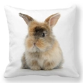 Easter rabbit peach skin throw pillow cover with realistic brown bunny print - 18x18 Inch / Realistic Brown-Yellow Bunny Photo (36)