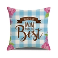 Close-up of linen fabric texture on Mother's Day cushion cover with floral pattern - Blue Gingham Floral MOM YOU'RE THE Best Style (16)