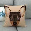 Detailed view of Chihuahua dog portrait printed on linen throw pillow on gray sofa - Beige Chihuahua Portrait Style (10)