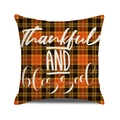 Detail van geruite kussensloop met Thankful AND blessed tekst voor herfstdecoratie - Dankbaar en gezegend Stijl / 45x45cm