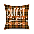 Close-up of orange plaid pumpkin pillow cover with Cutest Pumpkin Just Arrived text - Cutest Pumpkin Style / 45x45cm