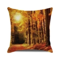 Happy Thanksgiving autumn forest trees square cushion cover with warm orange landscape - Forest Path Sunlight (15) / 18x18 Inch