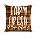 Detail of Farm Fresh Pumpkins text on orange and black plaid rustic cushion cover - Farm Fresh Pumpkins Style / 45x45cm