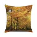 Detail of square pillowcase featuring a golden autumn forest landscape print - Late Autumn Warm Forest Scene (12) / 18x18 Inch