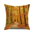 Close-up of autumn forest scenery print and texture on a square decorative pillow cover - Forest Path Autumn Colors (10) / 18x18 Inch