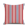 Dettaglio del tessuto a trama grossa con strisce verticali rosse, blu e bianche sul cuscino - Righe Verticali a Tre Colori Rosso Blu Bianco / 45x45 cm