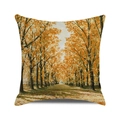 Square fall pillow cover featuring orange autumn forest oil painting landscape - Autumn Tree-lined Avenue (4) / 18x18 Inch