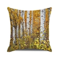 Square autumn forest pillow cover featuring white birch trees and yellow leaves - Bright Color Birch Forest (16) / 18x18 Inch