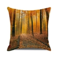 Autumn forest landscape cushion cover featuring vibrant golden trees and a sunlit path - Sunny Forest Path (18) / 18x18 Inch