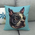 Teal square linen pillow cover featuring a detailed Boston Terrier dog portrait art - Teal Boston Terrier Portrait Style (12)