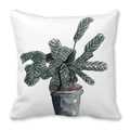 Tropical green calathea leaf watercolor print on white peach skin square pillowcase - Watercolor Potted Plant Pattern (38)