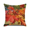 Housse de coussin carrée avec motif de feuilles d'érable d'automne et paysage de forêt - Paysage d'Érable d'Automne Haute Définition (19)