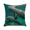 Square cushion cover featuring realistic manatee underwater photography on green background - Underwater Manatee Photography(29) / 18x18 Inch