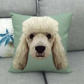 Linen pillow cover with geometric low poly poodle portrait art in sage green finish - Dusty Green Geometric Low Poly Teddy Style (17)