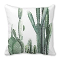 Tropical watercolor cactus print pillow cover in soft peach skin fabric and white base - Cactus Combination Pattern (23)
