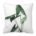 Tropical Alocasia leaf print square pillowcase in soft white peach skin fabric - Zebra Plant Pattern (26)
