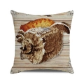 Detailed view of square cushion cover featuring a vintage seashell print on wood grain - 18x18 Inch / Style 20-Vintage Shell