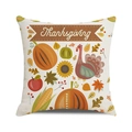Thanksgiving watercolor pumpkin and turkey cushion cover with autumnal floral design - 18x18 Inch / Thanksgiving Turkey Pumpkin / 5