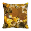 Thanksgiving peach skin pillow cover with watercolor autumn dry leaves pattern - Realistic Withered Leaves (39)