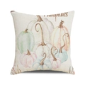 Detailed texture of linen pillowcase with watercolor pumpkin print and Pumpkins text - 18x18 Inch / Pumpkins Watercolor Mix / 16