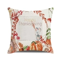 Detail of Happy Thanksgiving pillow cover featuring watercolor pumpkin and leaf patterns - 18x18 Inch / Happy Thanksgiving Rodent Animals / 20