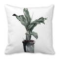 Tropical green leaf print cushion cover in minimalist watercolor style for home decor - Hand-painted Watercolor Potted Pattern (29)