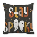 Halloween pillow cover in charcoal grey with stay SPOOKY text and ghost illustration - Stay Spooky Vintage Geometric Style (ZT360-20)