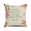 Fall watercolor pumpkin leaves cushion cover with sweet cider and harvest text - 18x18 Inch / Sweet Cider Autumn Harvest / 27