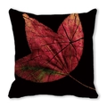 Square black pillowcase featuring a large red autumn leaf with detailed cracked texture - 11