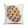 Square watercolor conch pillow cover in beige linen fabric for nautical home decor - 18x18 Inch / Watercolor Brown Conch Style (37)