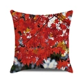 Square autumn cushion cover with vibrant red maple leaf pattern on linen texture - 18x18 Inch / Realistic Natural Red Maple(37)