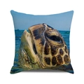 Square cushion cover featuring realistic sea turtle print on blue ocean background - 18x18 Inch / Sea Surface Turtle Close-up (ZX309-25)