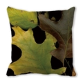 Square peach skin pillowcase with watercolor autumn oak leaf print on black background - 35