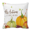 Watercolor pumpkin and pomegranate autumn pattern decorative pillowcase featuring Hi Autumn text - 18x18 Inch / Hi Autumn Hand Painted Pumpkin Pomegranate Style (20)