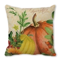 Housse de coussin automnale avec citrouilles et tournesols en tissu peau de pêche - Style Citrouille Artistique Squashes (25)