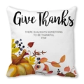 Give Thanks pumpkin and autumn maple leaf watercolor peach skin pillow cover - 18x18 Inch / Give Thanks Handwritten Quote Pumpkin Style (37)
