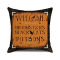 Detail of Halloween throw pillow with vintage orange crow and black cat design - Standard Size