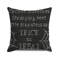 Macro detail of Halloween pillowcase with white spider web and Trick or Treat typography - Black Spider Web Slogan Style (17)