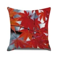 Thanksgiving square throw pillow case with vibrant red autumn maple leaves pattern - Red Maple Forest Scenery (9)