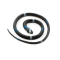 Realistic 70cm black rubber snake toy with blue and white ring patterns for Halloween pranks - Black