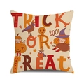 Halloween Trick or Treat throw pillow cover with cartoon pumpkin and witch girl design - Comprehensive Cartoon Halloween Style (26)