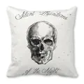 Detail of Halloween skull sketch and spider web art on peach skin cushion cover - Black and White Skull Sketch (6)
