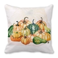 Funda de cojín decorativa con calabazas en acuarela y hojas de otoño en tela suave - Estilo Mezcla Calabazas Coloridas Varias (25) / 45x45cm