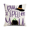 Halloween pillowcase featuring I put a SPELL on YOU text with witch hat and cauldron - I Put A Spell On You Style (36)