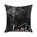 Halloween throw pillow cover with white spider web design on black square cushion - Black Background White Spider Web Style (39)