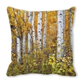 Peach skin pillowcase featuring a scenic autumn birch forest with yellow leaves - Full Frame Birch Forest Close-up (16)