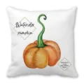 Estampado de calabaza en acuarela en funda de cojín blanca para decoración de otoño - Estilo Ilustración Calabaza Vectorial (37) / 45x45cm